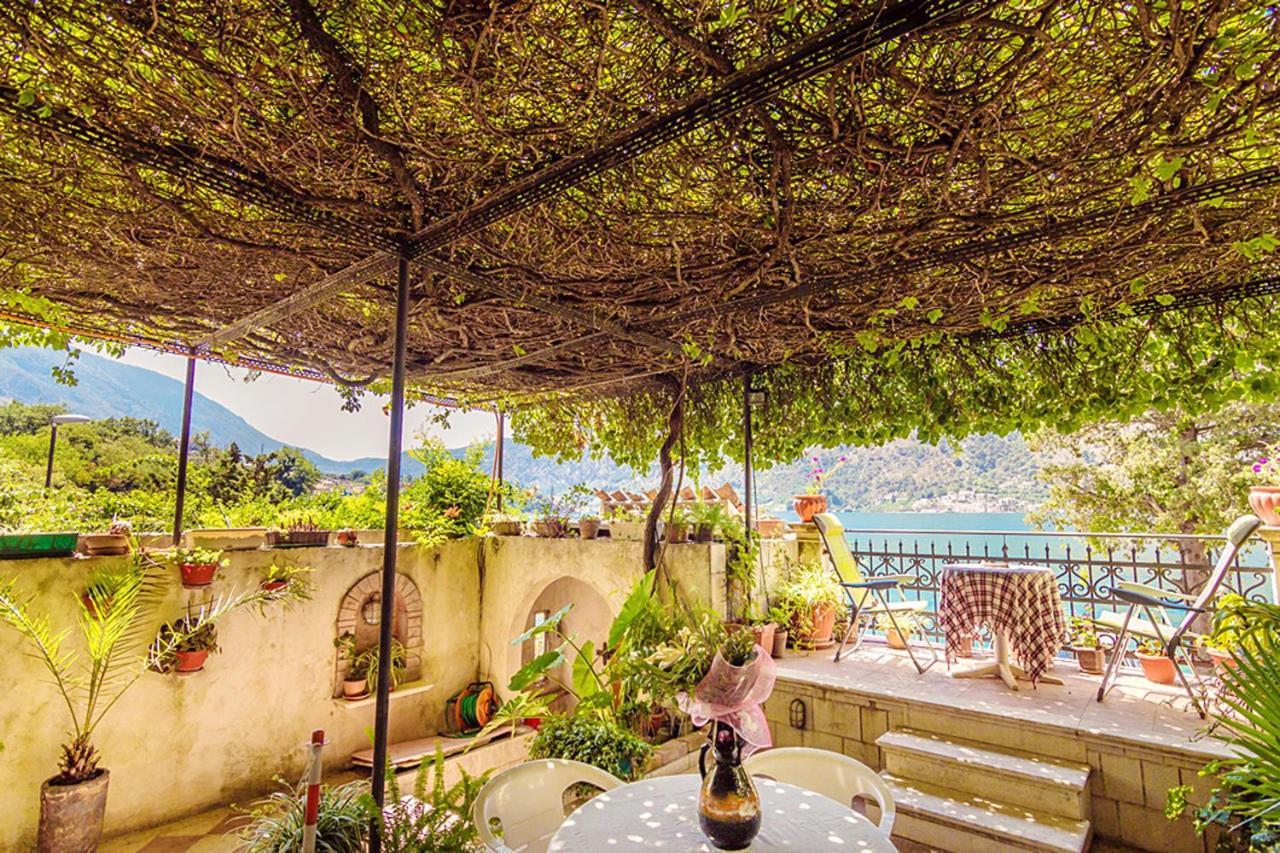 Villa Donkovic Κότορ Εξωτερικό φωτογραφία